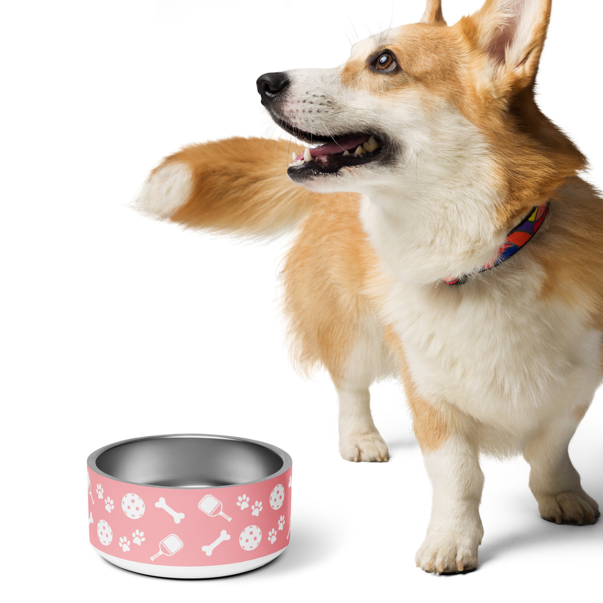 Pickleball Dog Bowl (Pink)