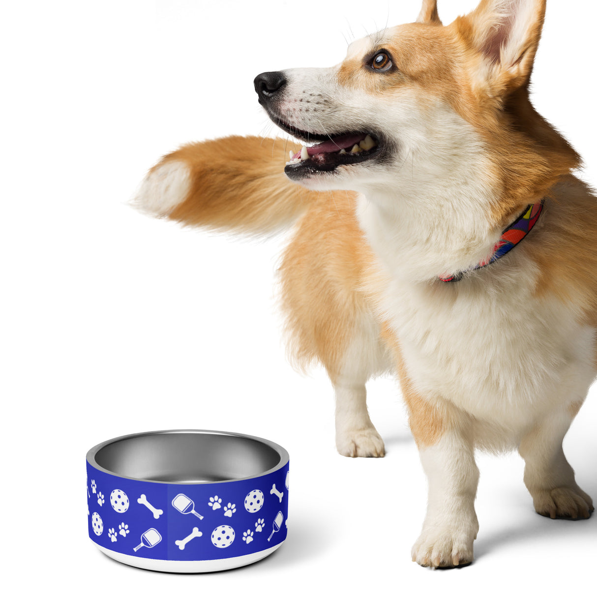 Pickleball Dog Bowl (Blue)
