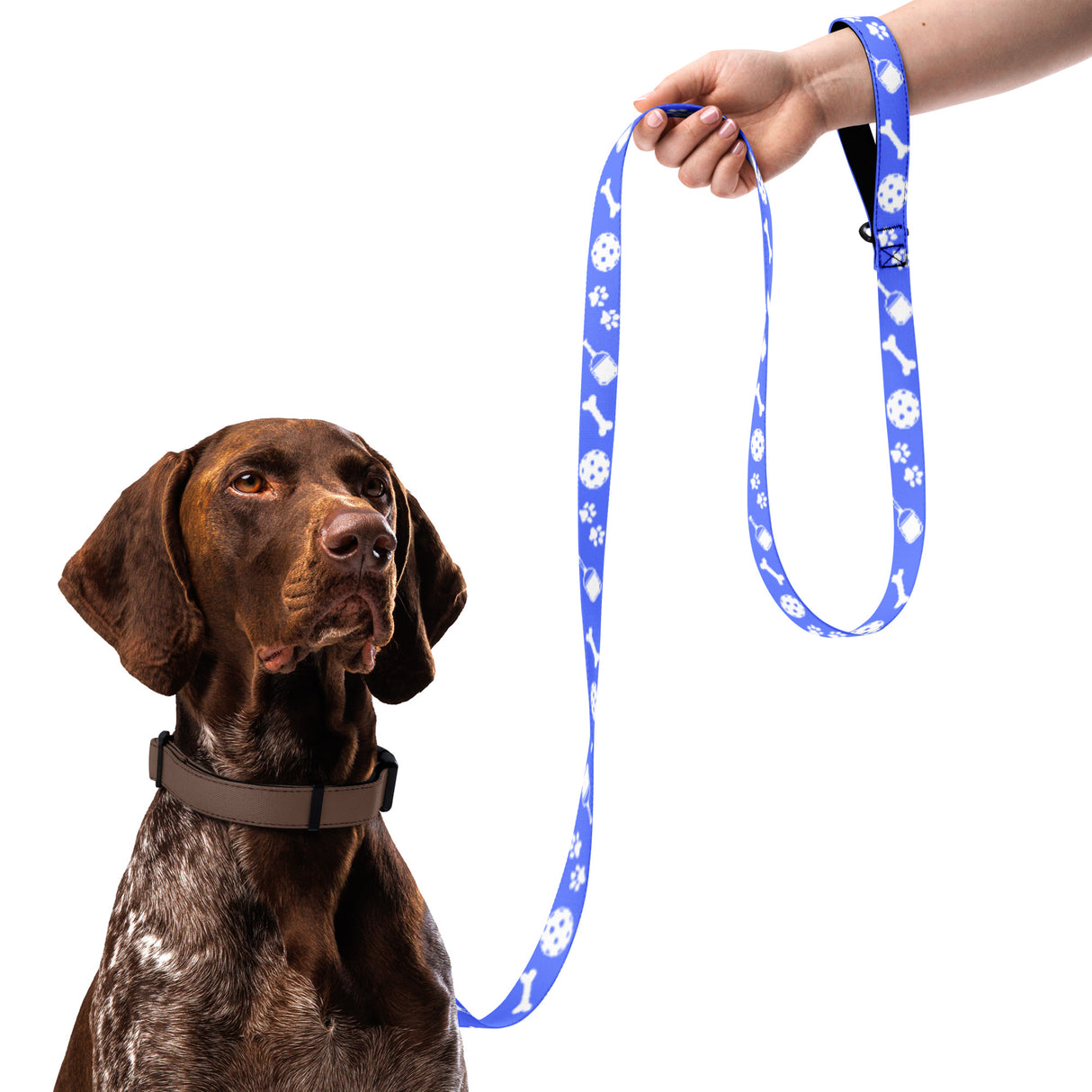 Pickleball Pet Leash (Blue)