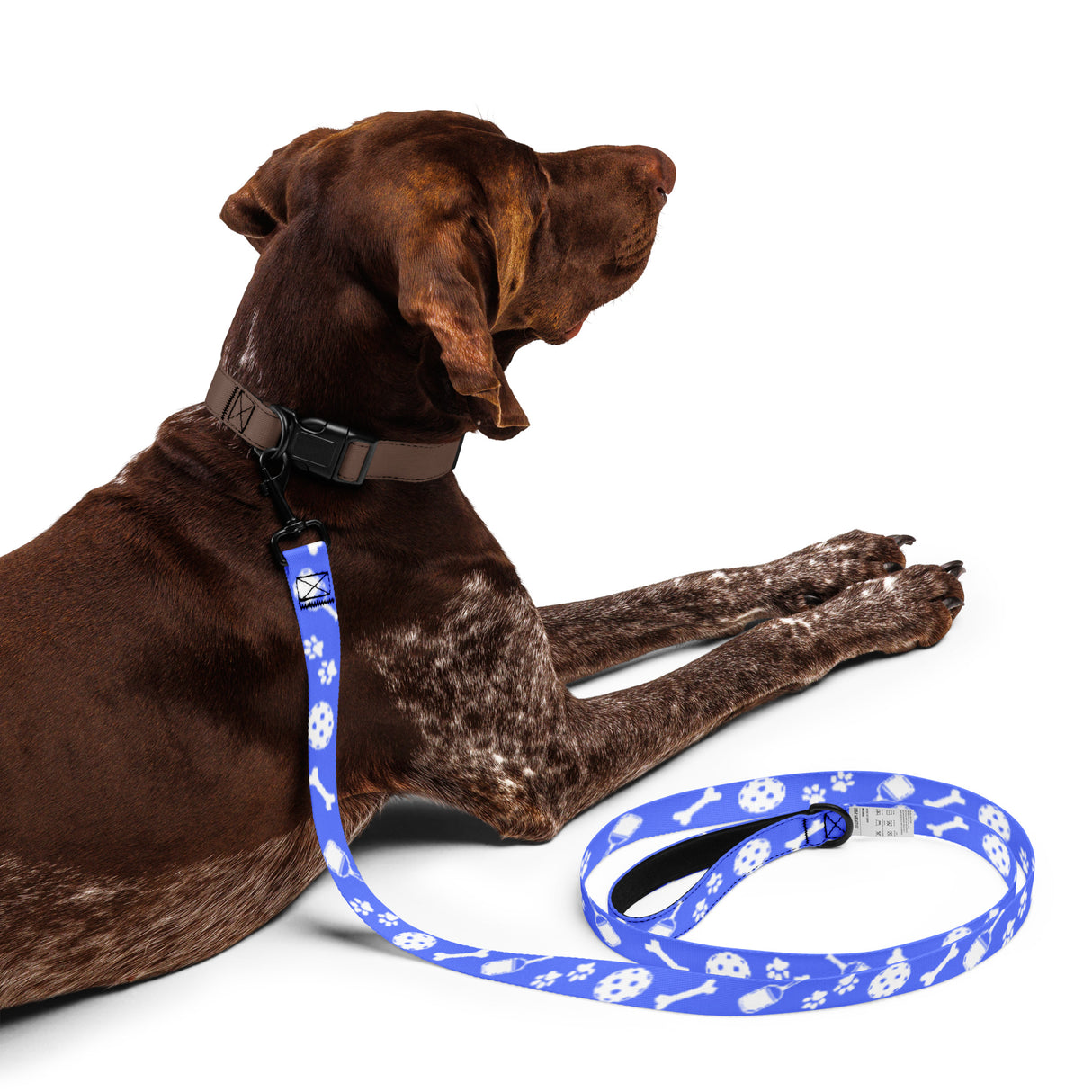 Pickleball Pet Leash (Blue)