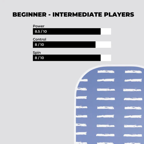 Holbrook: Alta Pickleball Paddle